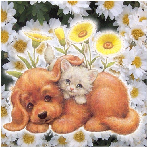 Открытки с котятами и щенками Открытки с котятами и щенками